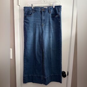 Vigoss Women's Wide Leg Pleated Ankle Jeans in Dark Blue Wash, Size 13/31